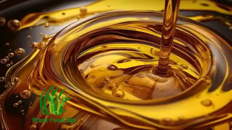 Best cooking oil in india