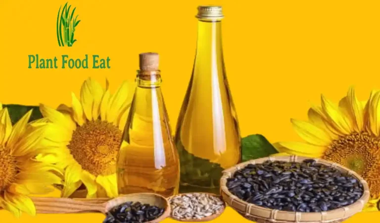 Read more about the article Is sunflower oil good for health uses and benefits