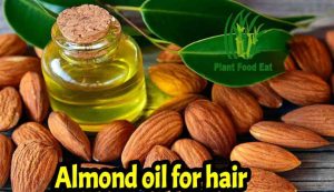 Read more about the article 23 Almond benefits for hair, skin and health to healthy life