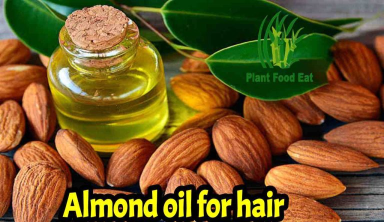 Read more about the article 23 Almond benefits for hair, skin and health to healthy life