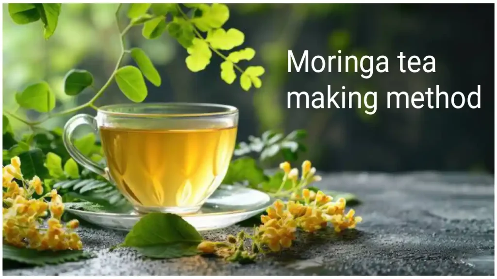 How to make moringa tea recipe and benefits
