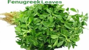Fenugreek leaves benefits for skin use and nutrition
