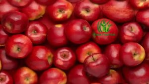 Apple nutrition per 100gm