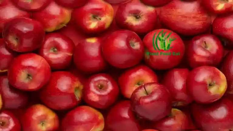 Apple nutrition per 100gm