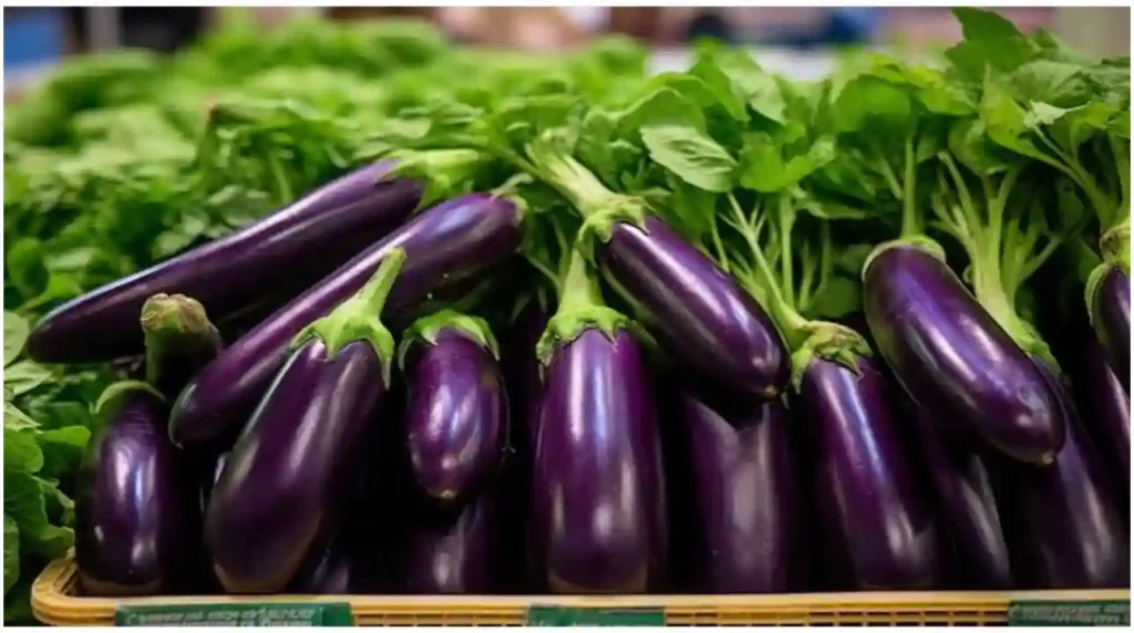 Brinjal is a fruit or vegetable complete information and recipe