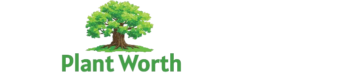 Plant Worth
